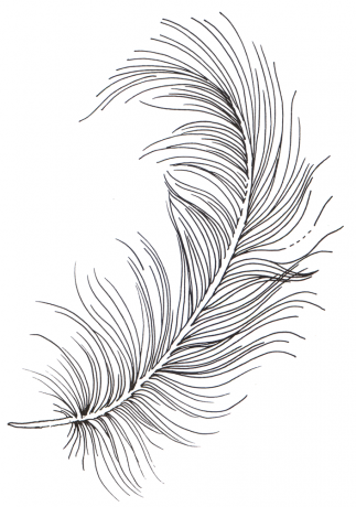 Feather 2